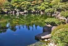 Hayward Japanese Gardens