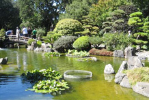 San Mateo Gardens